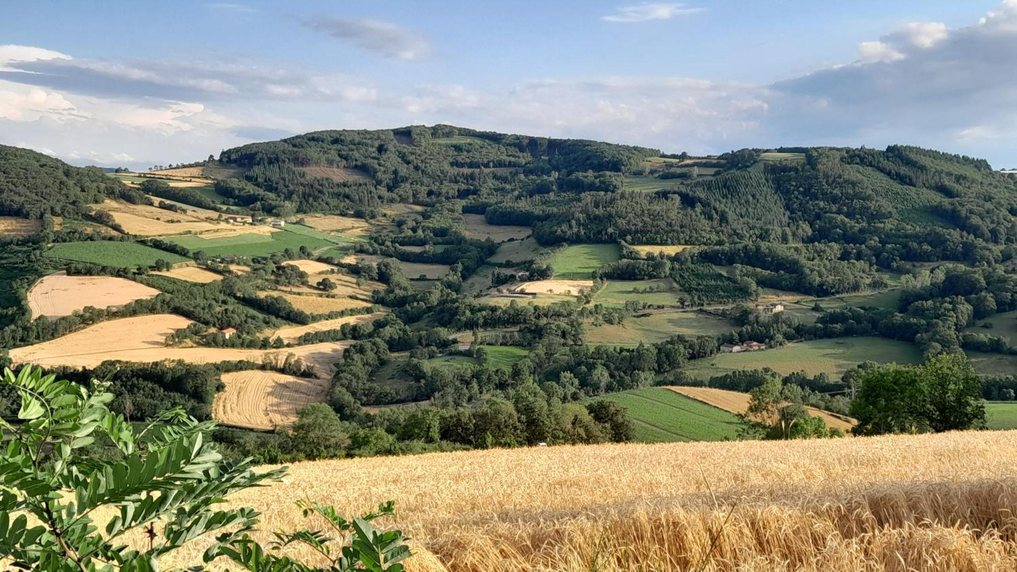 Appart'Hotel Le Clos Lassagne A Brignais - Lyon Sud Esterno foto